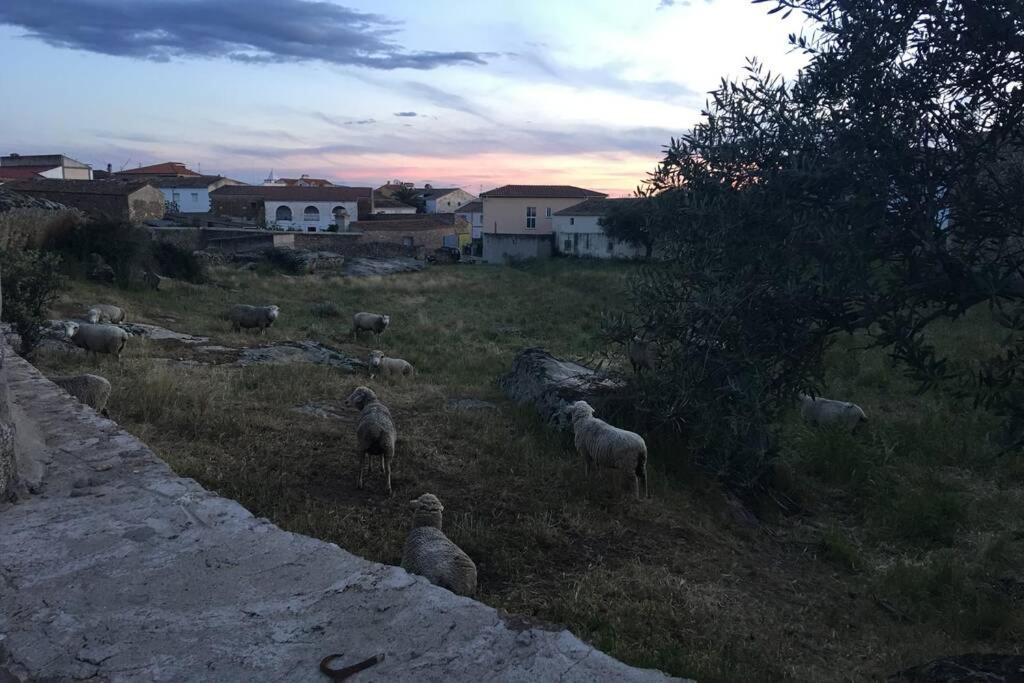 Casa - Apartamento Rural La Tahona Del Abuelo Plasenzuela Dış mekan fotoğraf