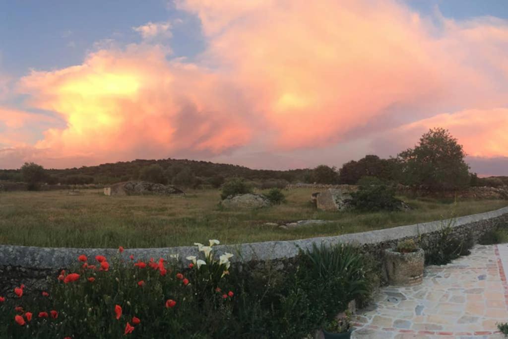 Casa - Apartamento Rural La Tahona Del Abuelo Plasenzuela Dış mekan fotoğraf