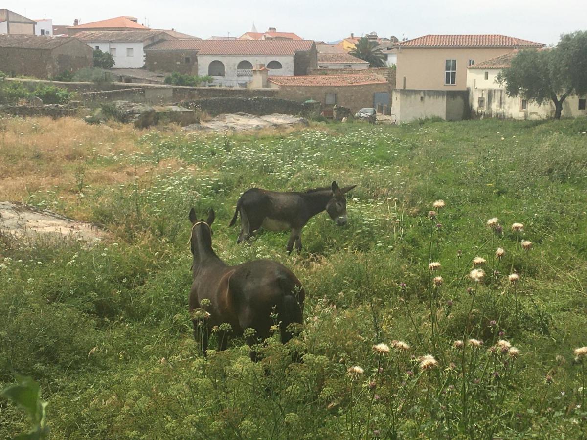 Casa - Apartamento Rural La Tahona Del Abuelo Plasenzuela Dış mekan fotoğraf