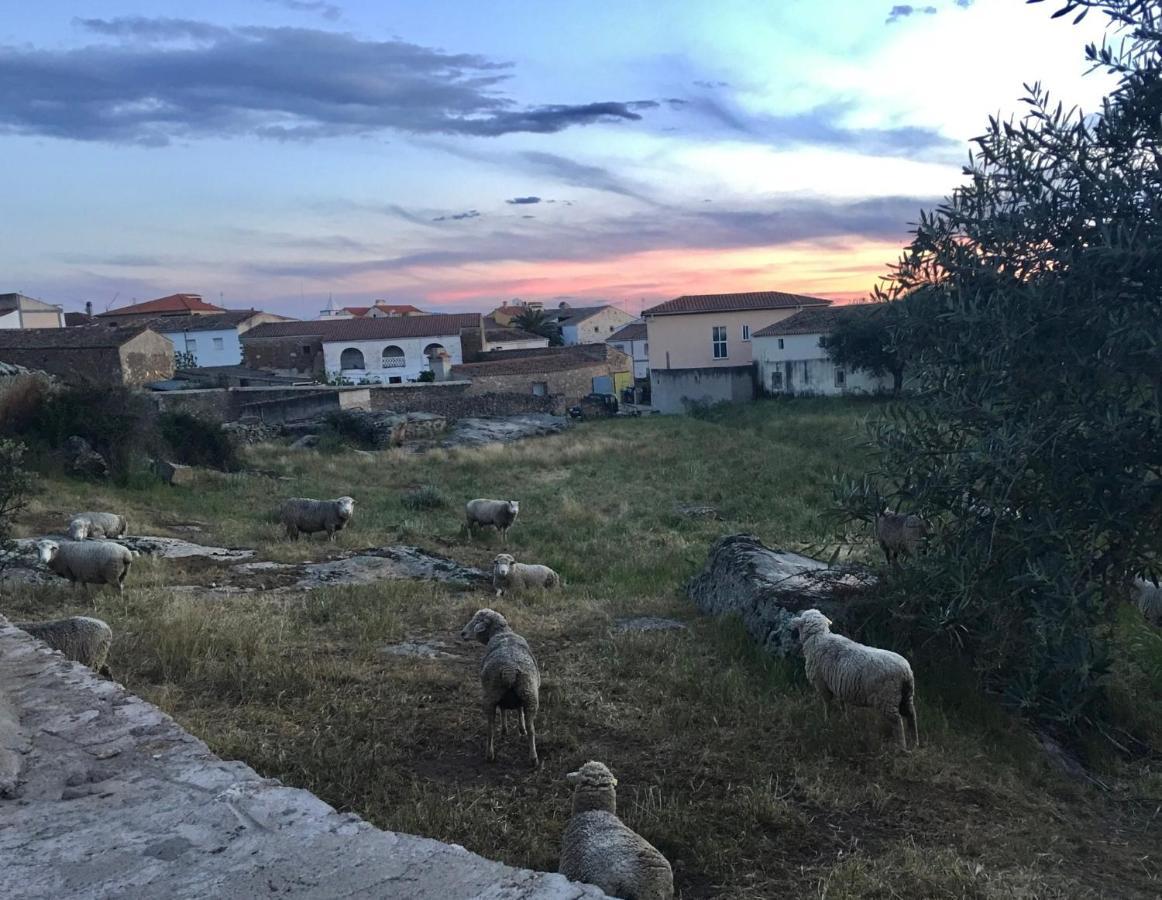 Casa - Apartamento Rural La Tahona Del Abuelo Plasenzuela Dış mekan fotoğraf